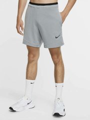 Шорты мужские Nike Np Flex Rep Short 2.0 Npc (CU4991-073), XL, WHS, 40% - 50%, 1-2 дня