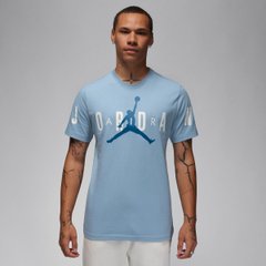 Футболка чоловіча Jordan T-Shirt Air Light (DV1445-436), L, WHS, 1-2 дні