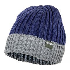 Шапка Jeep Twisted Tricot Hat (O102602-K879), One Size, WHS, 1-2 дня