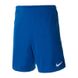 Фотографія Шорти чоловічі Nike M Nk Dry Lge Knit Ii Short Nb (BV6852-463) 1 з 3 в Ideal Sport
