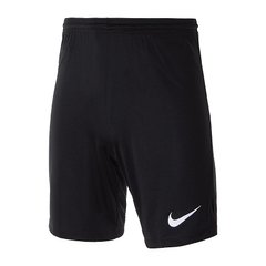 Шорти чоловічі Nike M Nk Dry Park Iii Short Nb K (BV6855-010), L, WHS, 20% - 30%, 1-2 дні