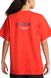 Фотографія Футболка чоловіча Nike Sportswear Max 90 Americana T-Shirt (DV9624-634) 2 з 2 в Ideal Sport