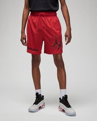 Шорты мужские Jordan Dri-Fit Sport Bc Mesh Shorts (DZ0569-687), XL, WHS, 20% - 30%, 1-2 дня