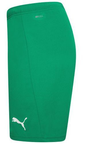 Шорты мужские Puma Teamrise Short (704942-05), L, WHS, < 10%, 1-2 дня