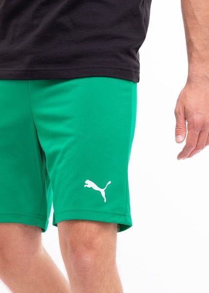 Шорты мужские Puma Teamrise Short (704942-05), L, WHS, < 10%, 1-2 дня