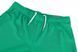 Фотографія Шорти чоловічі Puma Teamrise Short (704942-05) 2 з 10 в Ideal Sport