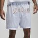 Фотографія Шорти чоловічі Jordan Mesh Shorts (DM1414-085) 1 з 3 в Ideal Sport