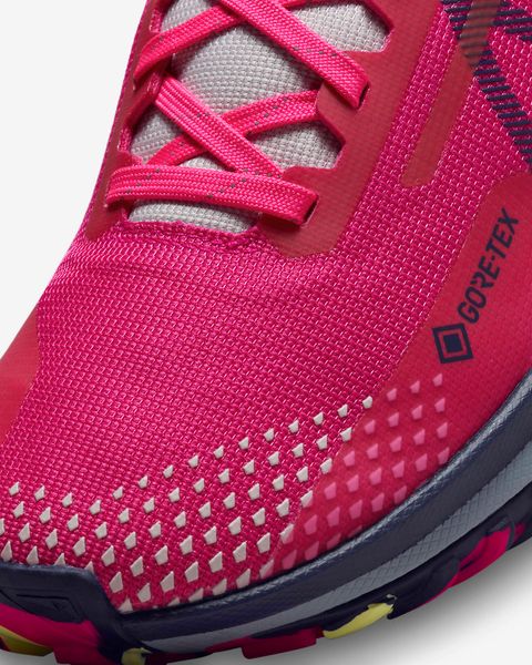 Кросівки жіночі Nike Pegasus Trail 4 Gore-Tex (DJ7929-600), 39, WHS, 1-2 дні
