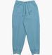 Фотографія Брюки чоловічі Nike Tech Fleece Pants Light Blue (FZ7593-464) 1 з 3 в Ideal Sport