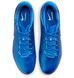 Фотография Кроссовки для бега мужские Nike Legend 10 Academy Sg-Pro Ac (DV4338-400) 5 из 7 в Ideal Sport
