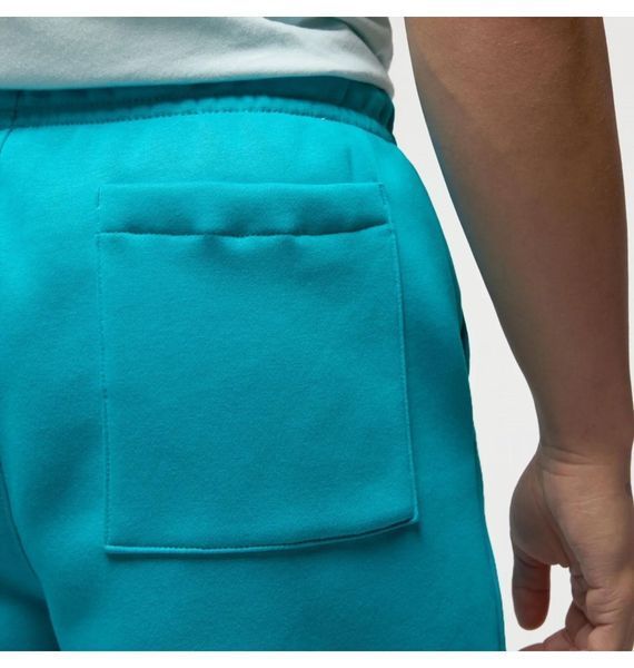 Шорти чоловічі Jordan Brooklyn Fleece Shorts Light Blue (DQ7470-483), XL, WHS, 30% - 40%, 1-2 дні