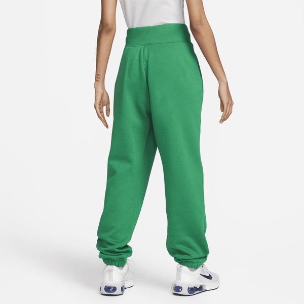 Брюки женские Nike Sportswear Phoenix Fleece (DQ5887-365), XS-S, WHS, 1-2 дня