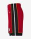 Фотографія Шорти чоловічі Jordan Swingman Shorts (CV9566-608) 3 з 3 в Ideal Sport