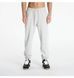 Фотографія Спортивний костюм чоловічий Jordan Flight Fleece Grey (FV7247-050__FV7251-050) 3 з 10 в Ideal Sport