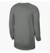 Фотография Кофта мужская Nike Grey (FD9941-063) 2 из 2 в Ideal Sport