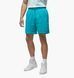 Фотографія Шорти чоловічі Jordan Brooklyn Fleece Shorts Light Blue (DQ7470-483) 1 з 7 в Ideal Sport