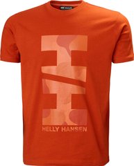 Футболка чоловіча Helly Hansen Move Cotton T-Shirt (53976-308), L, WHS, 10% - 20%, 1-2 дні