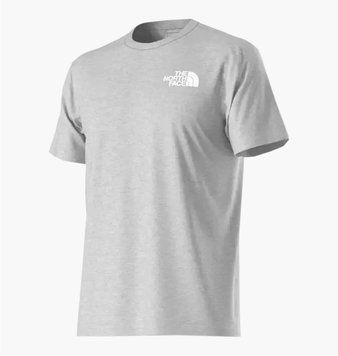 Футболка чоловіча The North Face Evolution Box Nse Grey (NF0A8B6KCQI1), L, WHS, 1-2 дні