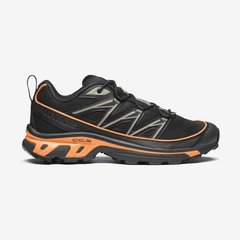 Кроссовки мужские Salomon Xt-6 Expanse (L47445700), 41, WHS, 1-2 дня