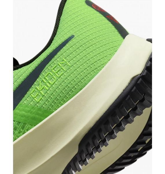 Кросівки для бігу чоловічі Nike Air Zoom Rival Fly 3 (DZ4775-304), 45.5, WHS, > 50%, 1-2 дні