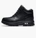 Фотографія Черевики чоловічі Nike Air Max Goadome (865031-009) 1 з 7 в Ideal Sport