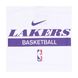 Фотографія Майка чоловіча Jordan T-Shirt Dri-Fit Nba Los Angeles Lakers (DR6770-100) 2 з 2 в Ideal Sport