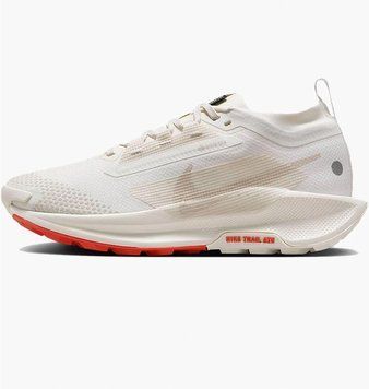 Кроссовки для бега женские Nike Pegasus Trail 5 Gore-Tex (FQ0912-100), 40, WHS, < 10%, 1-2 дня