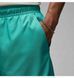 Фотографія Шорти унісекс Jordan Poolsd Lbr 5In Turquoise (HF9371-392) 4 з 9 в Ideal Sport