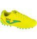 Фотография Бутсы детские Joma Toledo (TOJW2411AG) 2 из 6 в Ideal Sport