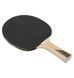 Фотография Теннисная ракетка Donic Legends (705221) 4 из 8 в Ideal Sport