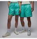 Фотографія Шорти унісекс Jordan Poolsd Lbr 5In Turquoise (HF9371-392) 8 з 9 в Ideal Sport