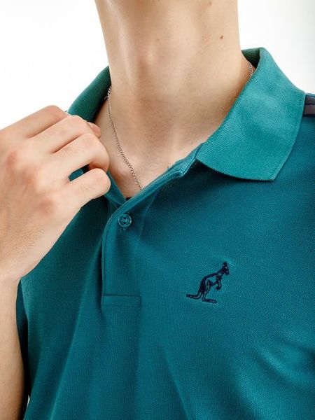 Футболка чоловіча Australian Tape Stripe Polo Club Pique' (LSUPO0060-328), M, WHS, 1-2 дні