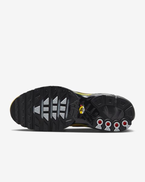 Кросівки чоловічі Nike Air Max Plus (FB9722-700), 40.5, WHS, 1-2 дні
