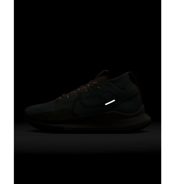 Кросівки для бігу жіночі Nike Pegasus Trail 4 Gore-Tex (DJ7929-301), 35.5, WHS, < 10%, 1-2 дні
