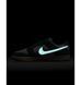Фотографія Кросівки чоловічі Nike Dunk Low Se (HQ1519-030) 5 з 11 в Ideal Sport