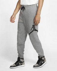 Брюки мужские Jordan Jumpman Logo Fleece Pant (BQ8646-091), XL, OFC, 20% - 30%, 1-2 дня