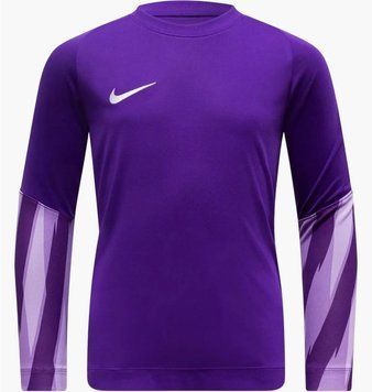 Свитер детской Nike Dri-Fit Park V Long Sleeve Football Goalkeeper Jersey For Older Violet (HV8318-507), 122 CM, WHS, 20% - 30%, 1-2 дня