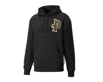 Кофта чоловіча Puma Team Letterman Hoodie (534313-01), M, WHS, < 10%, 1-2 дні