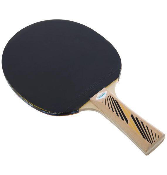 Теннисная ракетка Donic Legends 300 Fsc (705234), One Size, WHS, < 10%, 1-2 дня