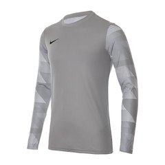 Кофта чоловічі Nike Dry Park Iv Goalkeeper Jersey Long Sleeve (CJ6066-052), L, WHS, 20% - 30%, 1-2 дні