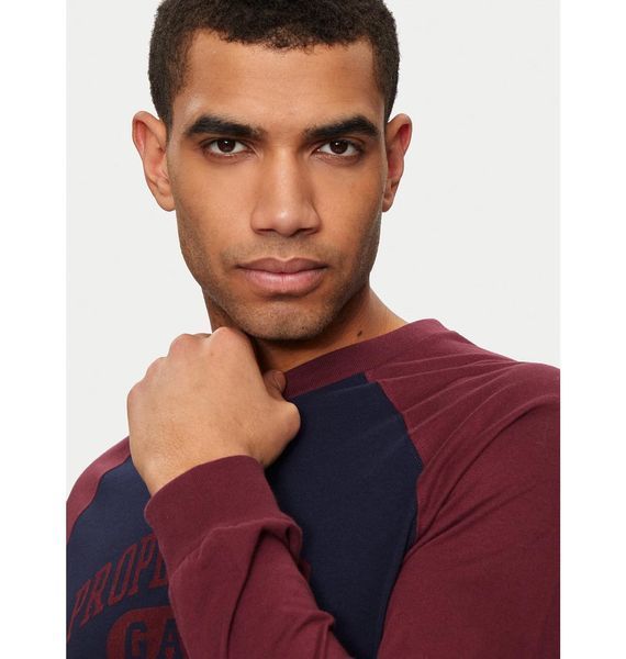 Кофта мужская Gap Gap Raglan Tee Xl Blue/Bordo (765764-02), M, WHS, 10% - 20%, 1-2 дня