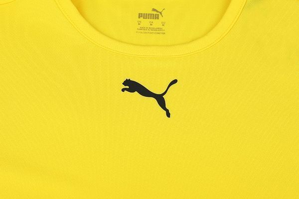 Футболка чоловіча Puma Teamrise Jersey (704932-07), 2XL, WHS, < 10%, 1-2 дні