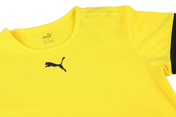 Футболка чоловіча Puma Teamrise Jersey (704932-07), 2XL, WHS, < 10%, 1-2 дні