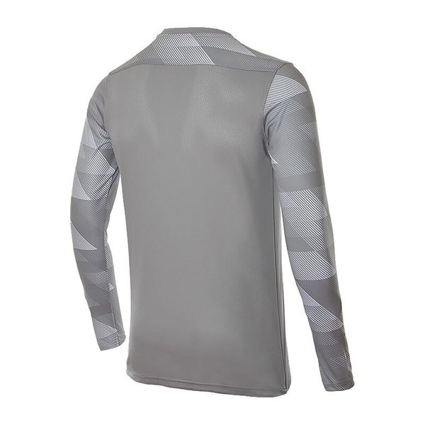 Кофта мужские Nike Dry Park Iv Goalkeeper Jersey Long Sleeve (CJ6066-052), L, WHS, 10% - 20%, 1-2 дня