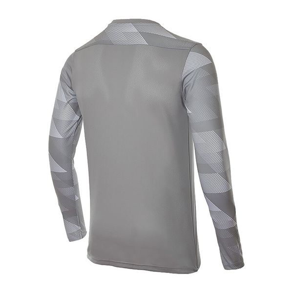 Кофта мужские Nike Dry Park Iv Goalkeeper Jersey Long Sleeve (CJ6066-052), M, WHS, 10% - 20%, 1-2 дня