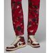 Фотографія Брюки чоловічі Jordan Air Artist Series By Parker Duncan (DX0405-687) 6 з 7 в Ideal Sport