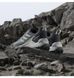 Фотографія Кросівки жіночі Adidas Terrex Eastrail 2 Grey (IH3589) 2 з 15 в Ideal Sport