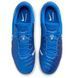 Фотографія Кросівки для бігу чоловічі Nike Legend 10 Academy Ic (DV4341-400) 5 з 7 в Ideal Sport