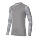 Фотографія Кофта чоловічі Nike Dry Park Iv Goalkeeper Jersey Long Sleeve (CJ6066-052) 1 з 4 в Ideal Sport