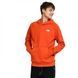 Фотография Кофта мужская The North Face Box Nse Po Hdie Retroorg (NF0A7UNSZV1) 1 из 2 в Ideal Sport